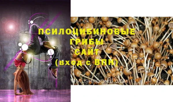 экстази Кропоткин