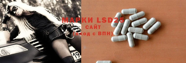 индика Лагань