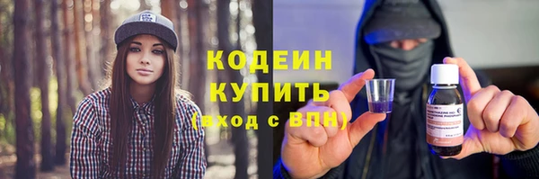 индика Лагань