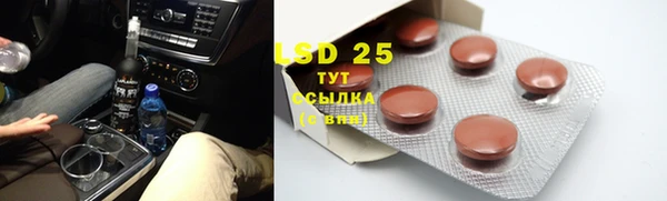 индика Лагань