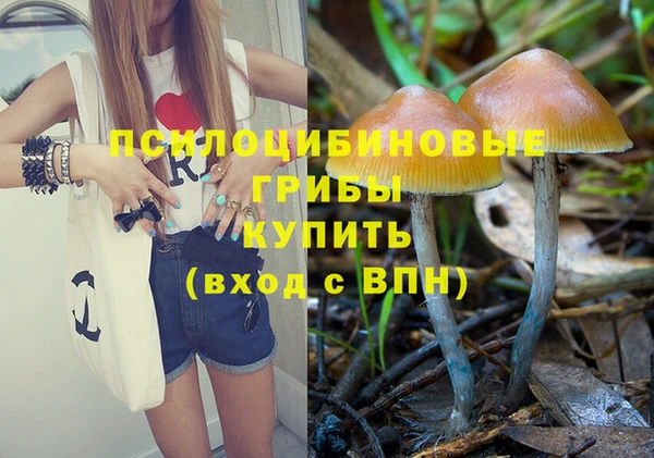 индика Лагань