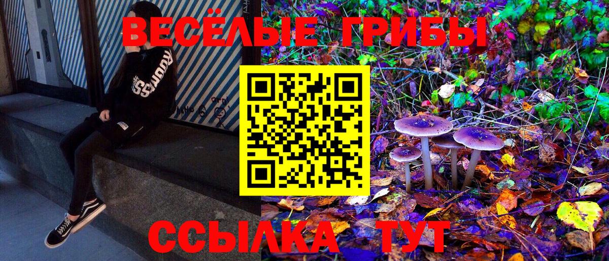 Псилоцибиновые грибы Magic Shrooms  Вход с VPN  наркошоп  Мелеуз 
